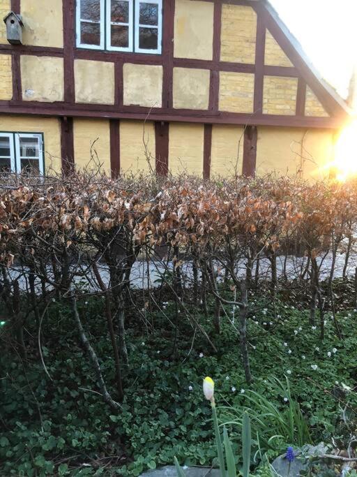 Idyllisk, Historisk Byhus Ved Fjorden I Mariager Luaran gambar